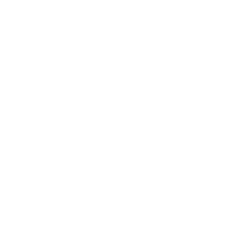 Integrity icon